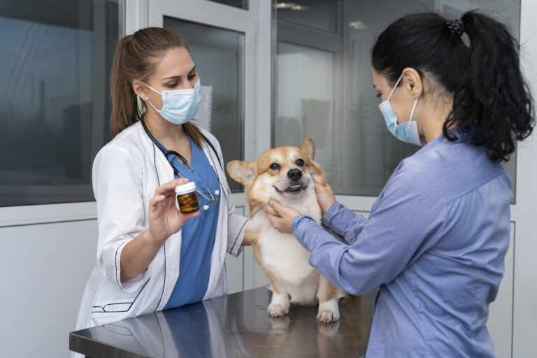 Best Pet Insurance With Preventive Care: 2024’s Top Value Pet Insurance