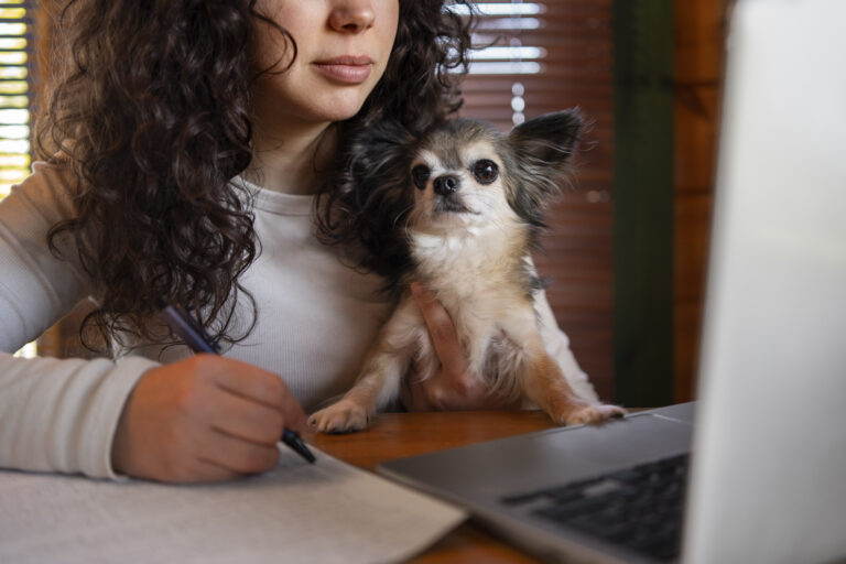 How Much Does Pet Insurance Cost For a Small Dog?